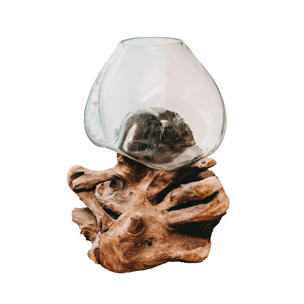Teak root with Teak Flat glass vase