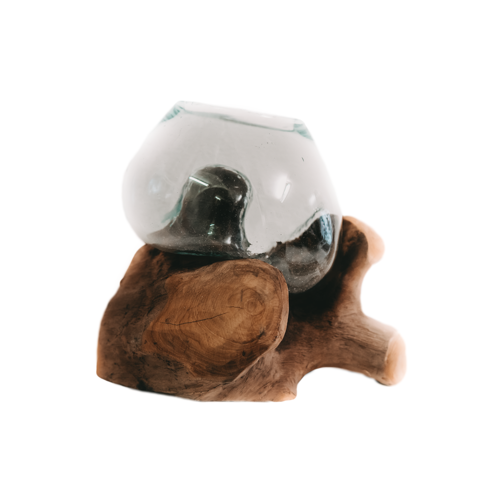 Teak root with glass vase Small