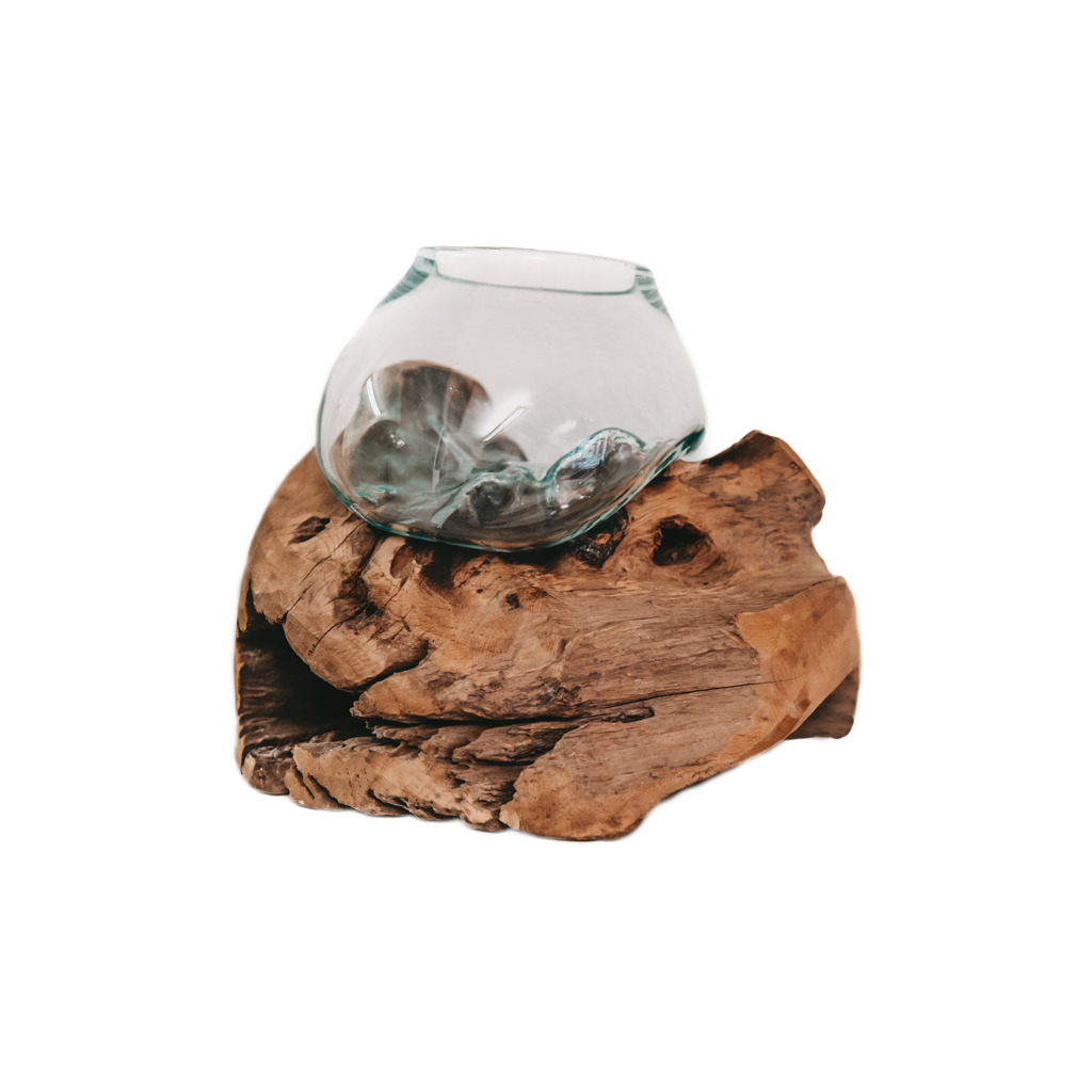 Teak root with glass vase Small