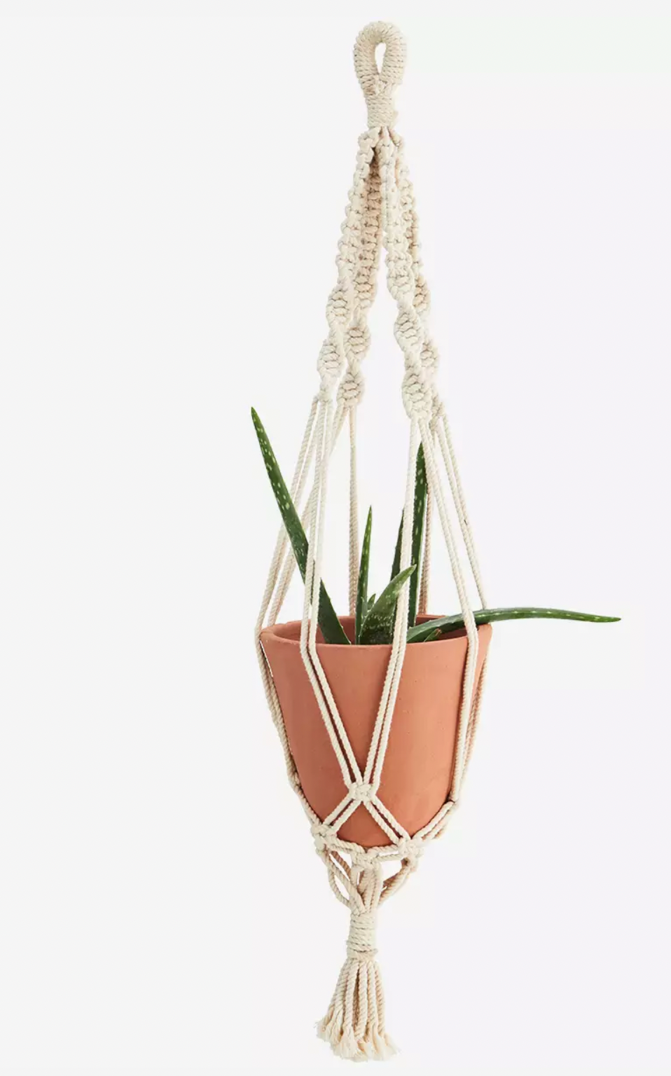 Hanging terracotta flower pot