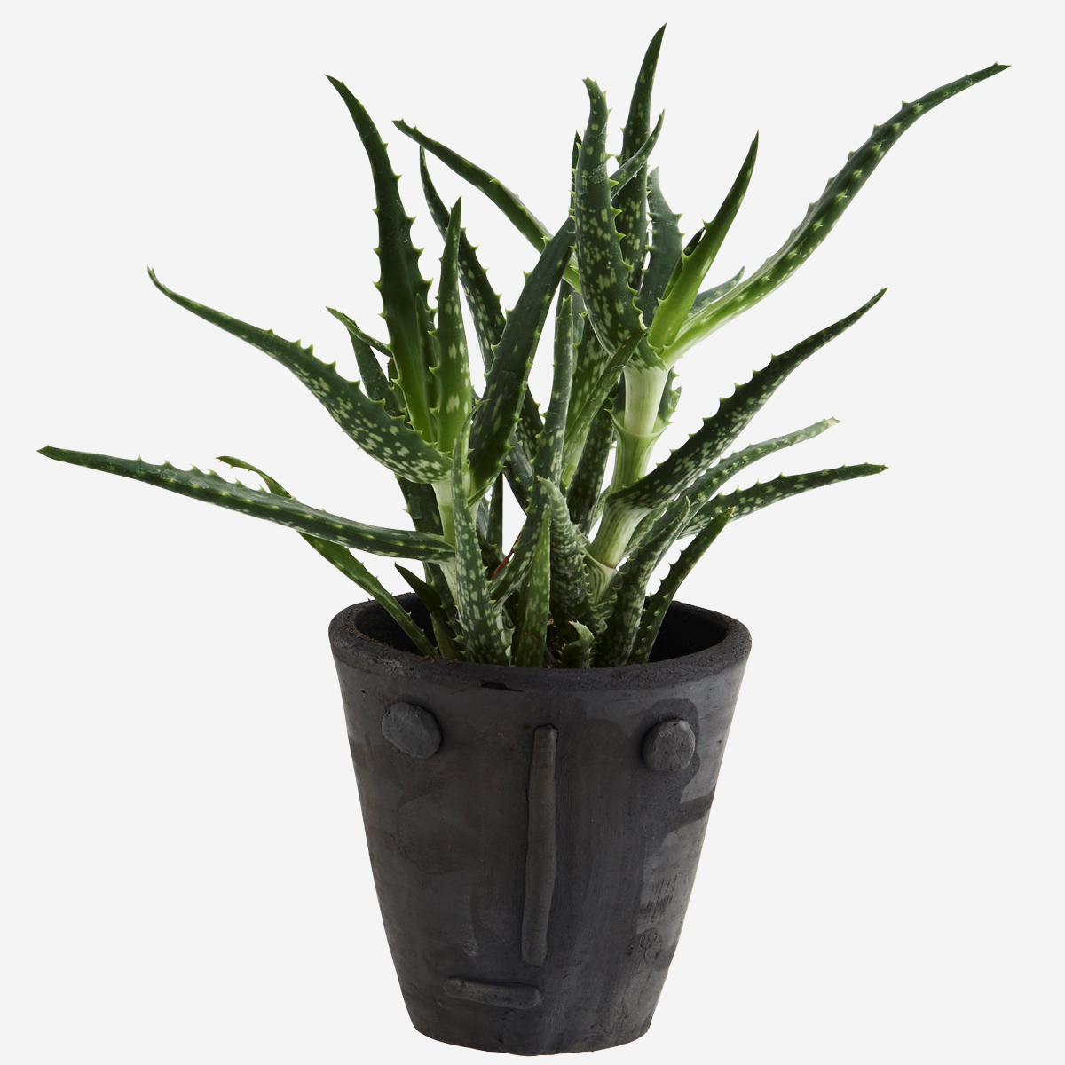 Ton Blumentopf handgefertigt