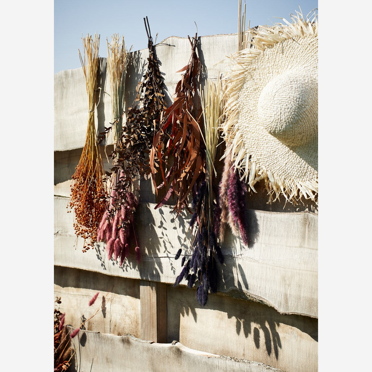 Chinese reed naturally dried