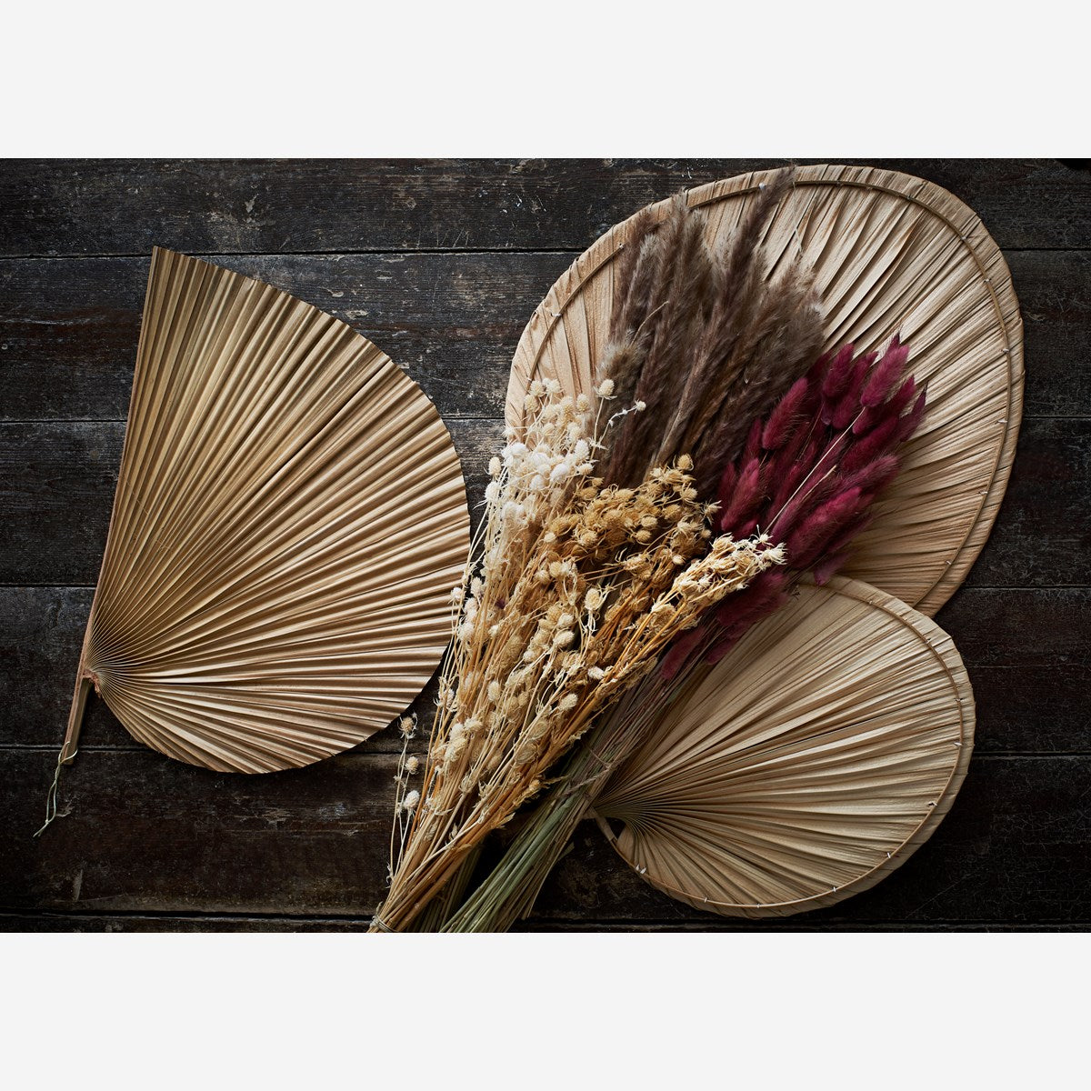 Chinese reed naturally dried